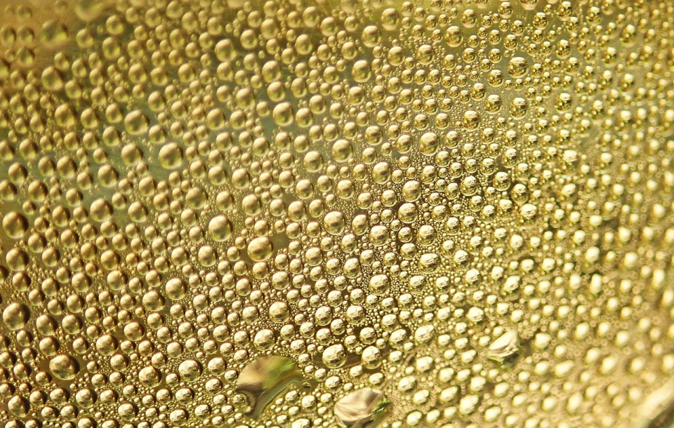 car detailing application coating